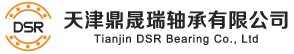 SKF轴承授权经销商-FAG轴承总代理-NSK轴承-TIMKEN轴承-KOYO轴承 -天津鼎晟瑞轴承有限公司